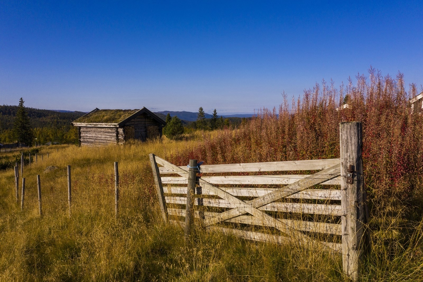Idyllisk område med spredt fritidsbebyggelse og gamle setervoller. Galleribilde