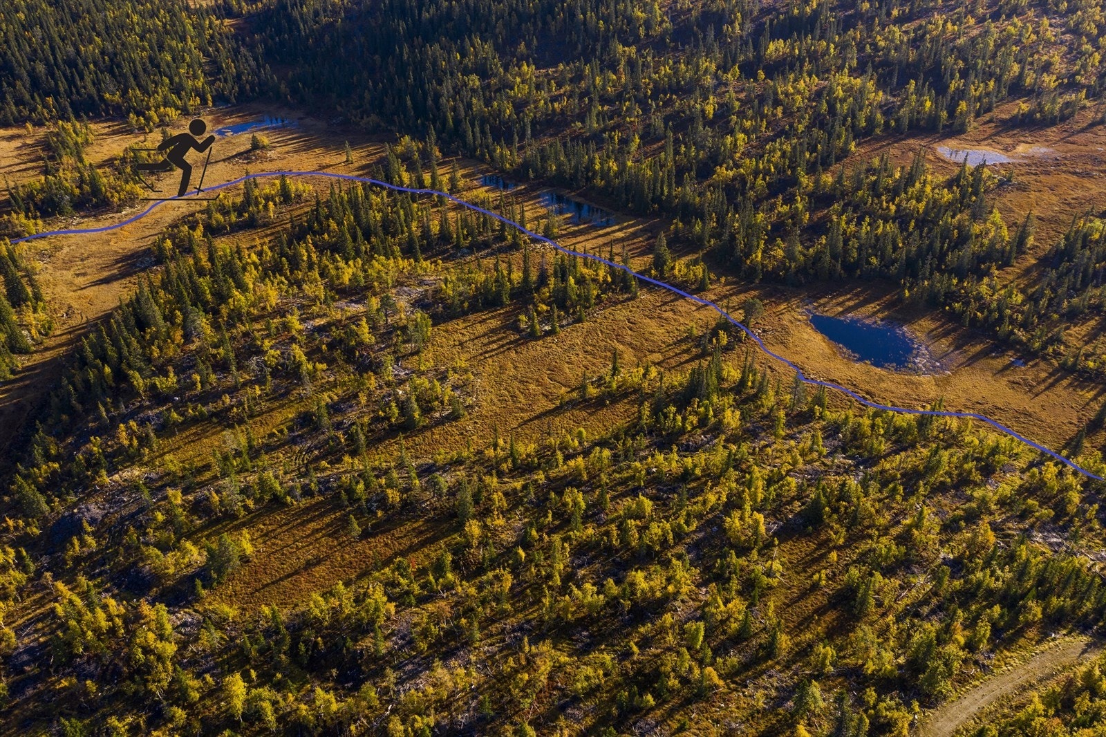 Skiløypa går like bortenfor tomtene. Galleribilde