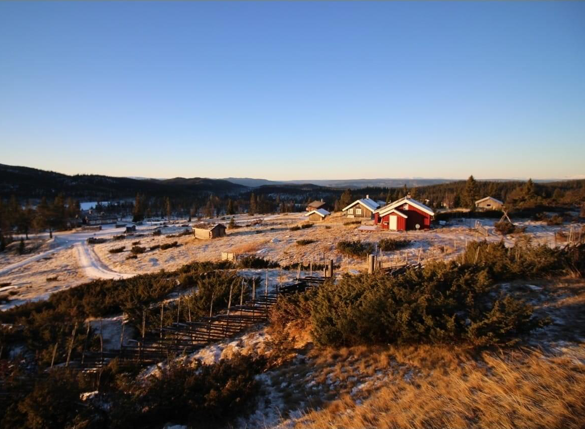 Senhøst på Syningset Galleribilde