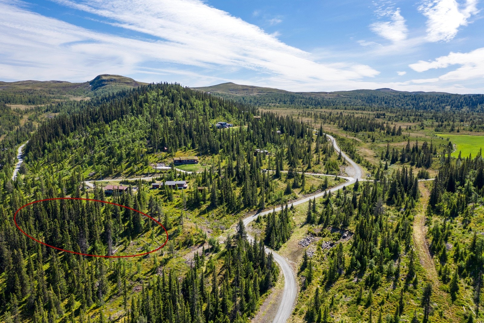 Privatmegleren Hallingdal v/June Langeland har gleden av å ønske velkommen til disse flotte tomtene på Bøgaset/Veneli i Nesbyen Kommune! Galleribilde