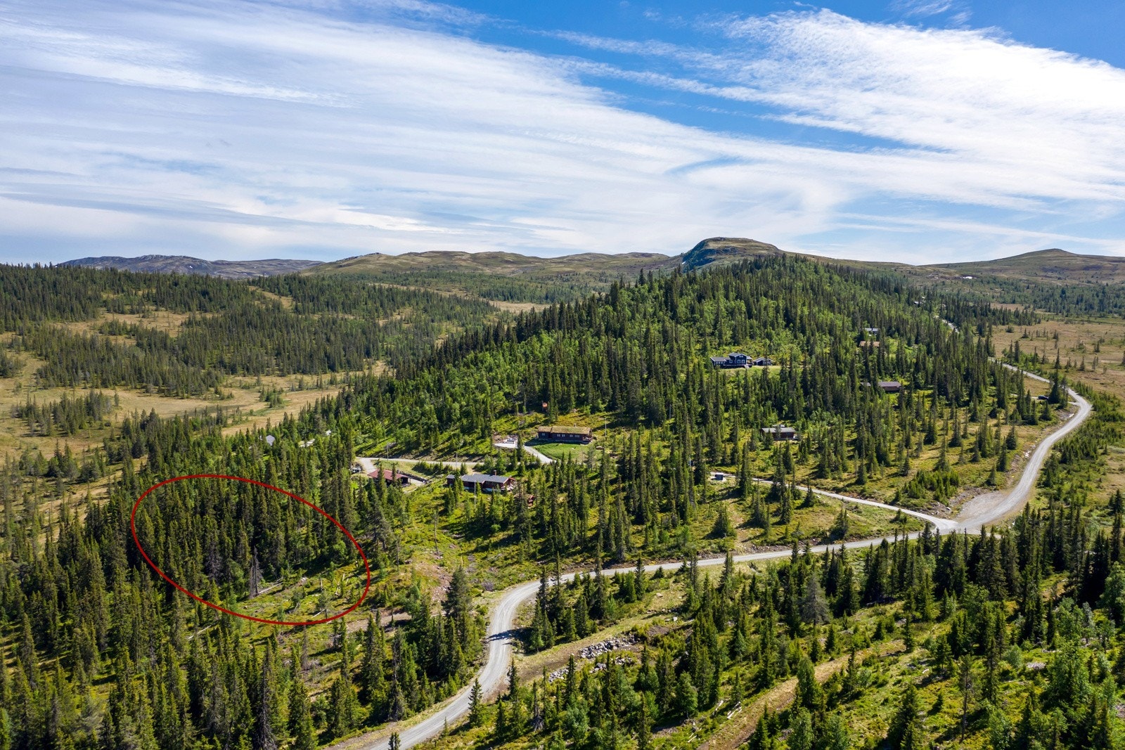 Tomtene har god beliggenhet ca. 920 moh. Galleribilde