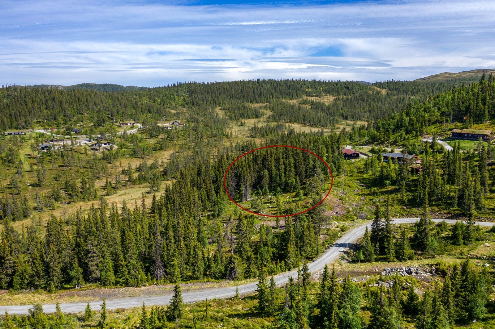 Tomtene er beliggende i et område med spredt hyttebebyggelse, med blanding av både nye og eldre hytter Galleribilde