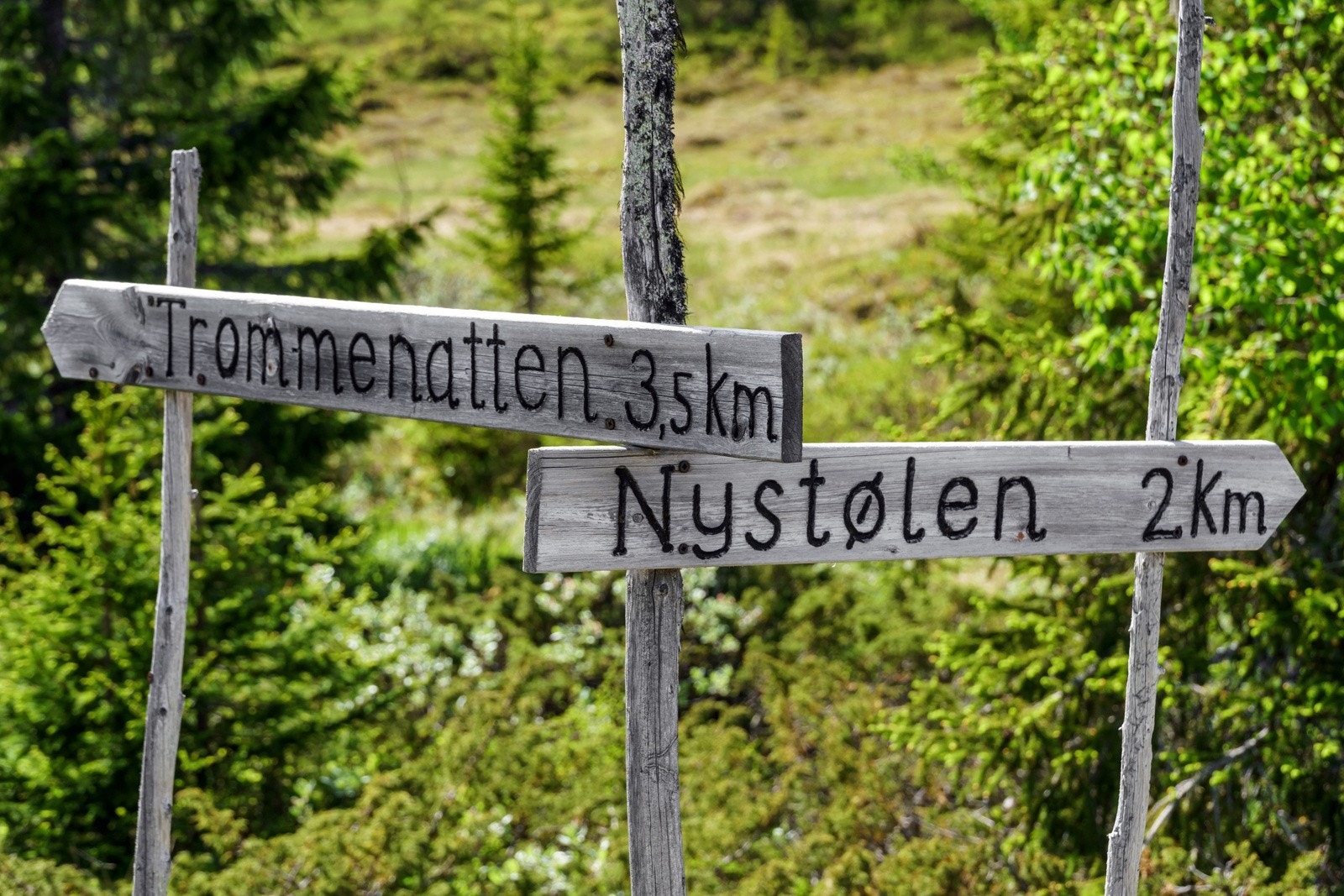 Fra tomtene er det kun to kilometer på ski/til fots til Nystølkroken Kafe Galleribilde