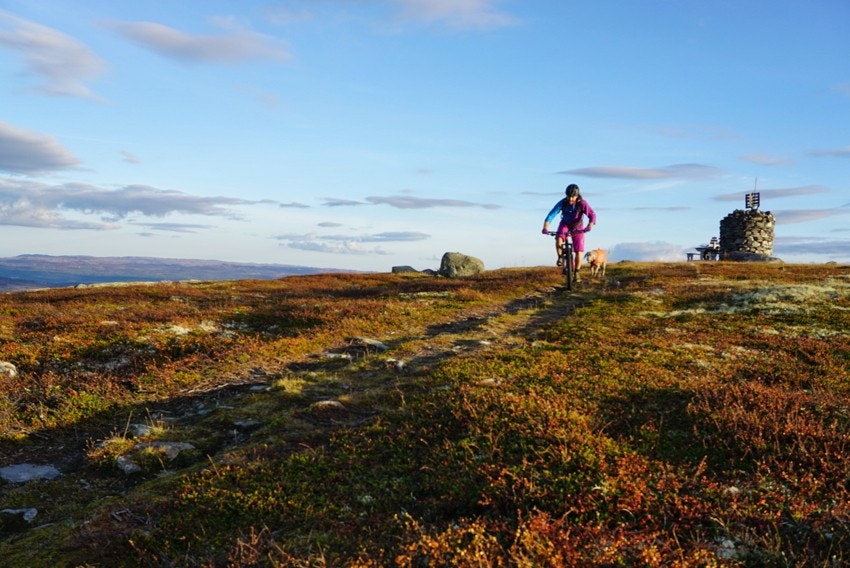 I Nesfjellet er det et bredt utvalg av sykkel- og turstier som passer både liten og stor! Galleribilde