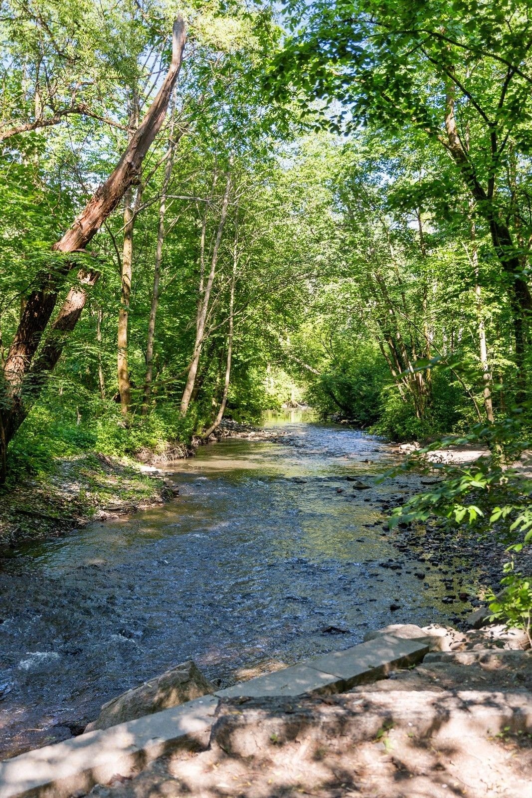 Det er kort vei til flotte turmuligheter som langs Alnaelva og Østmarka generelt. Galleribilde