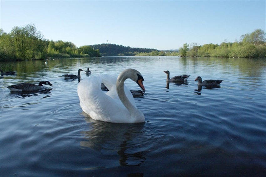 Fra boligen er det kort vei til Østensjøvannet. Galleribilde