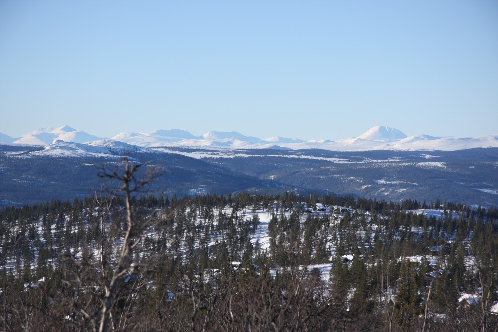 Utsikt fra Renåfjellet Galleribilde