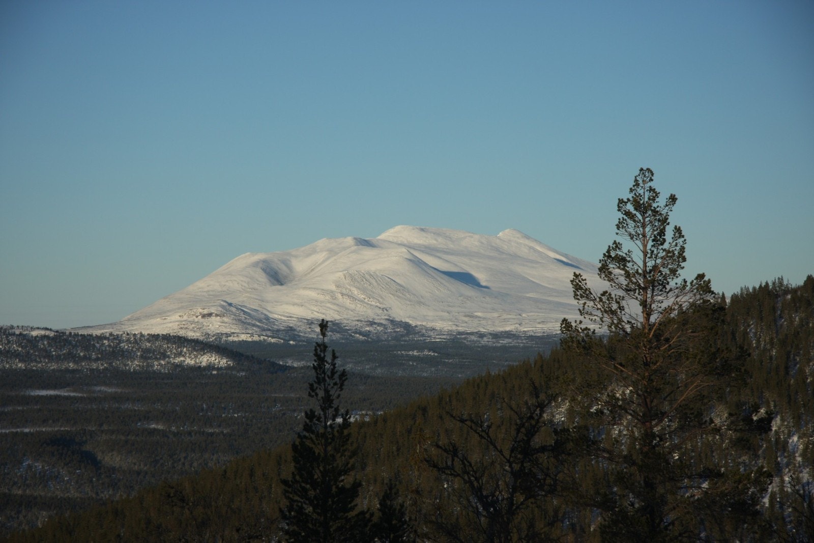 Sølen 1754,8 moh er et flott turmål Galleribilde