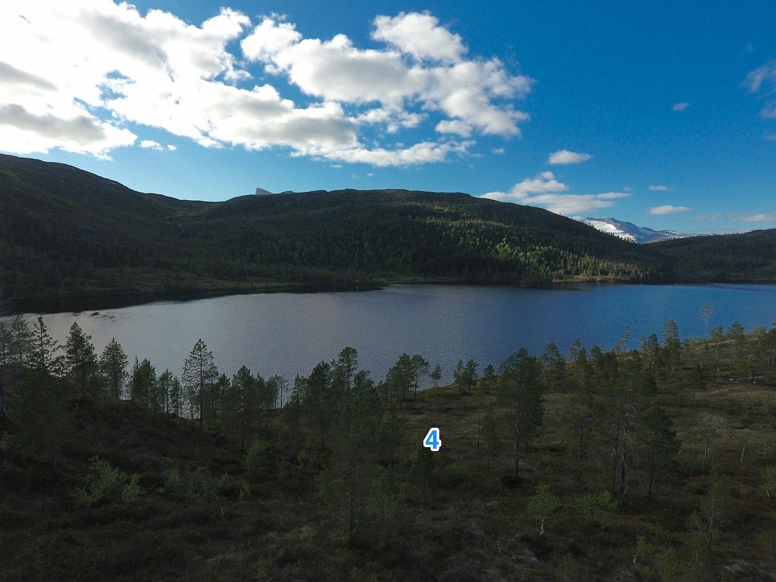 Utsikt mot nord på toppen av Styrkesnes hytteområde. Disse tomtene er alle vestvendte mot Sagvatnet Galleribilde