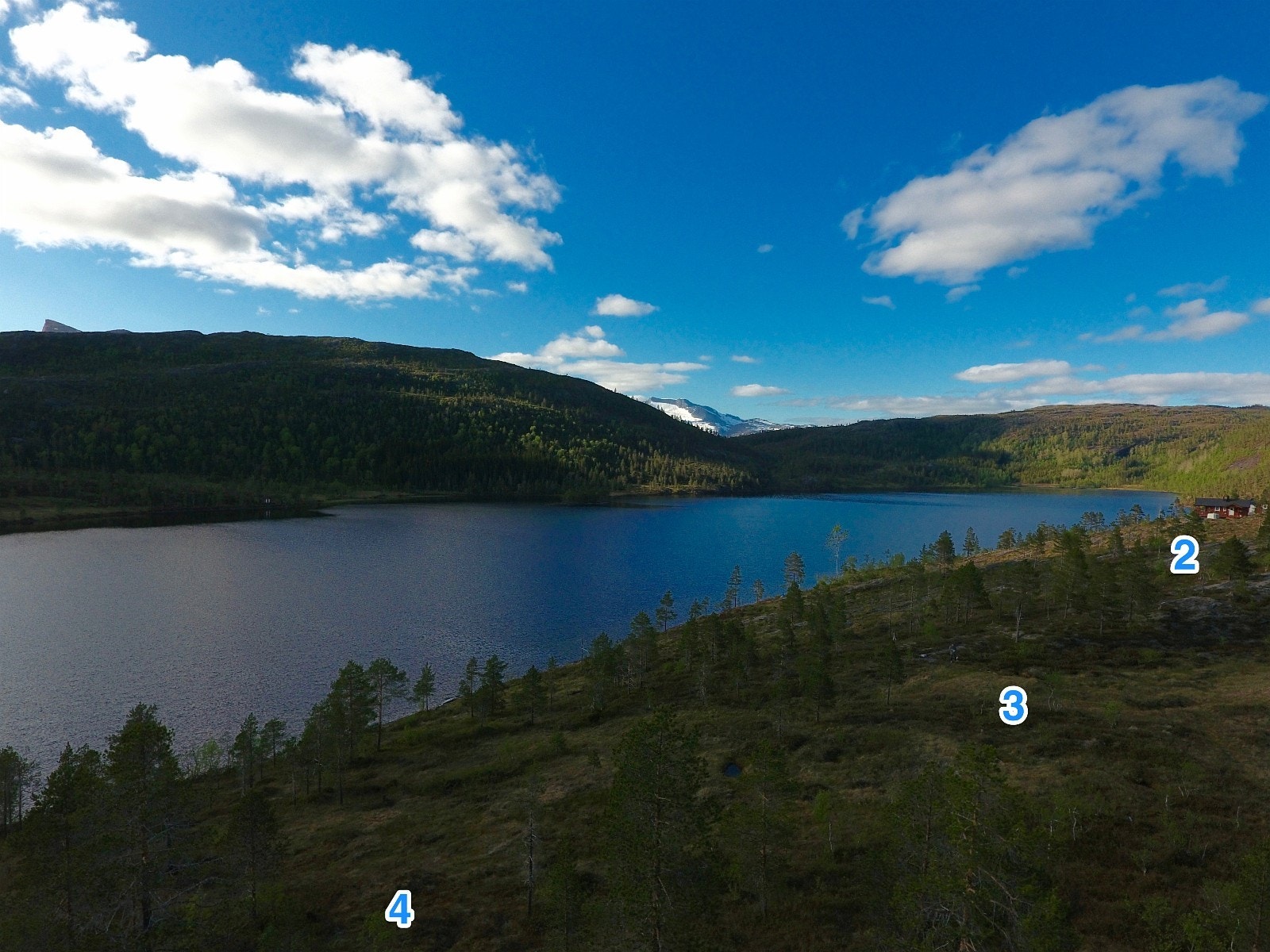 Utsikt mot nord på toppen av Styrkesnes hytteområde. Disse tomtene er alle vestvendte mot Sagvatnet Galleribilde