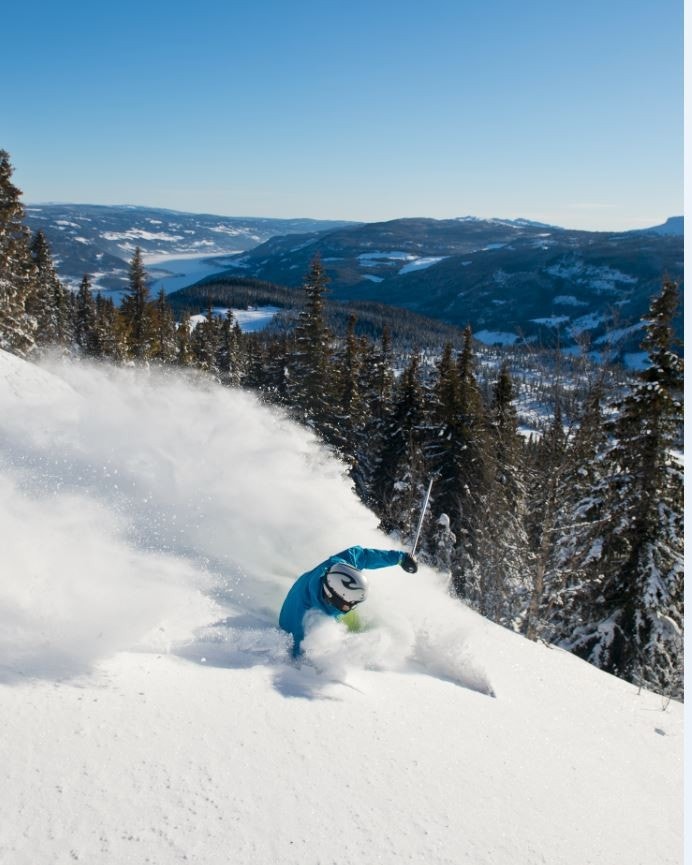 fra alpinbakken Galleribilde