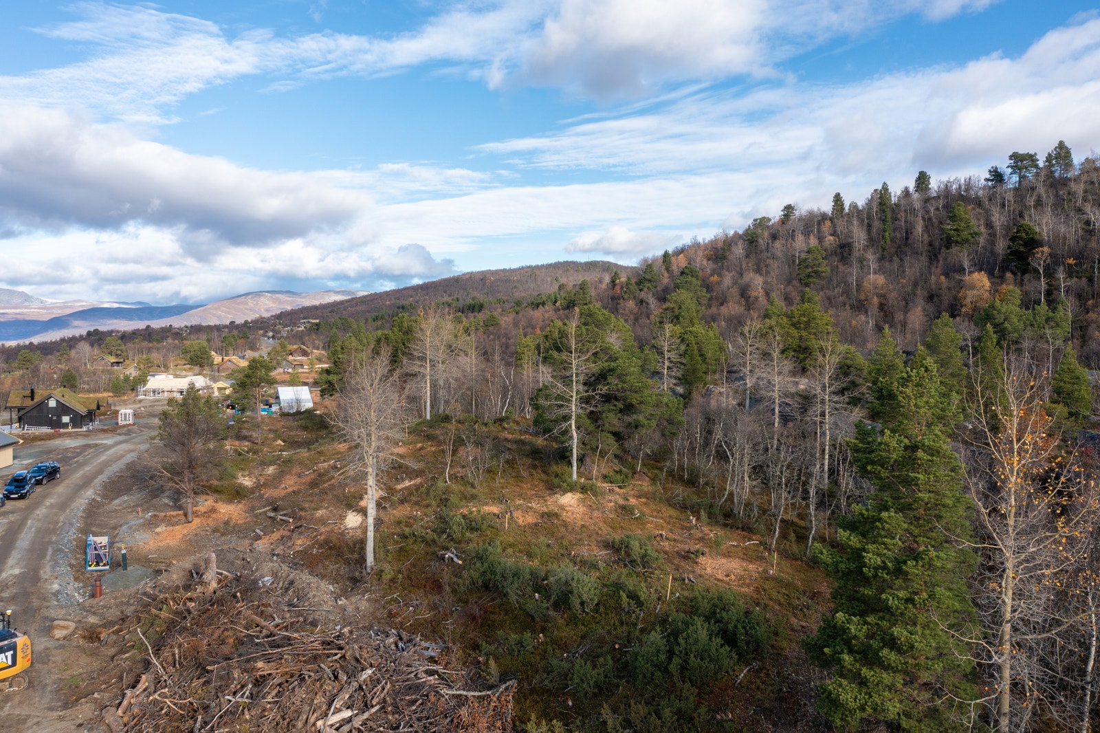 Tomt 31 Galleribilde