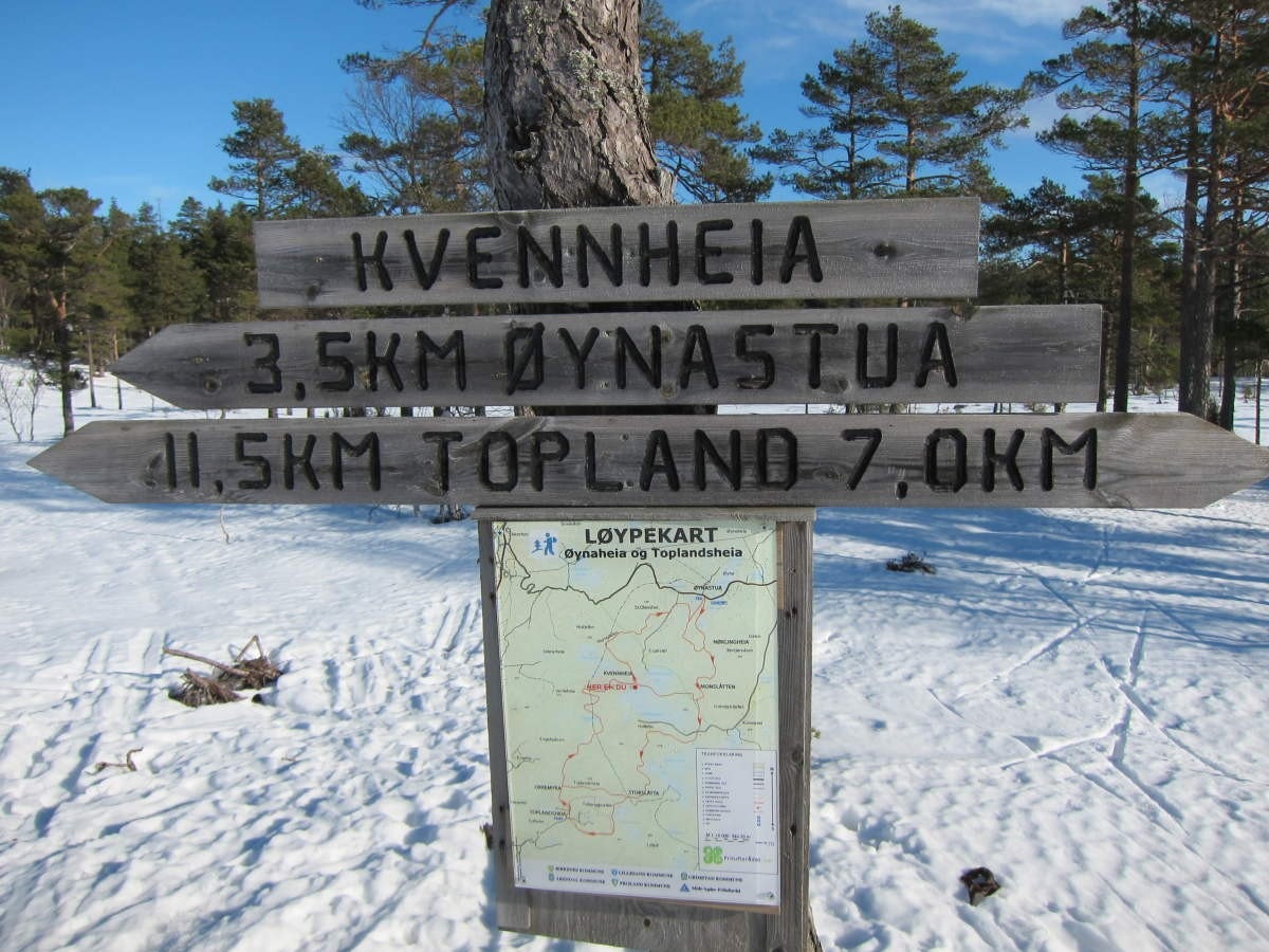 _file=62CAD0BF2B9F15F213CC0D2D12D641CC2FE29C0B_jpg&dh=600&dw=800&t=4&.jpg Galleribilde