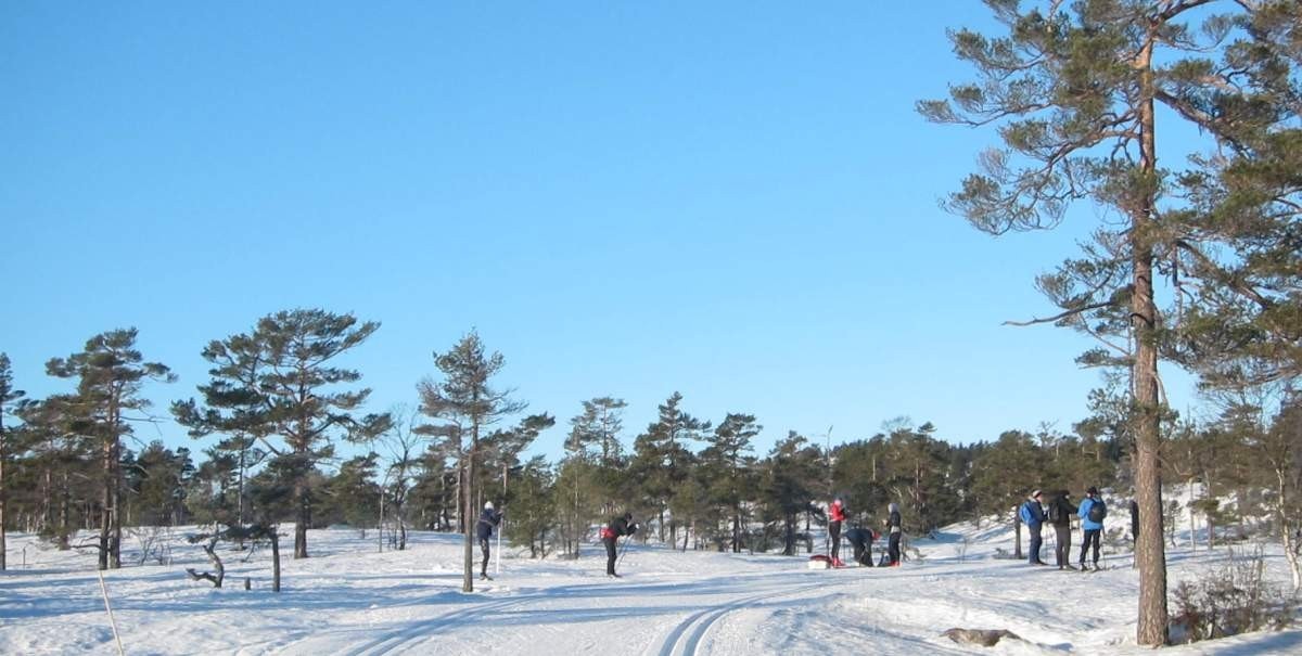 _file=746967A22219A5E0874527D0E8652721A2DC4DAA.jpg Galleribilde