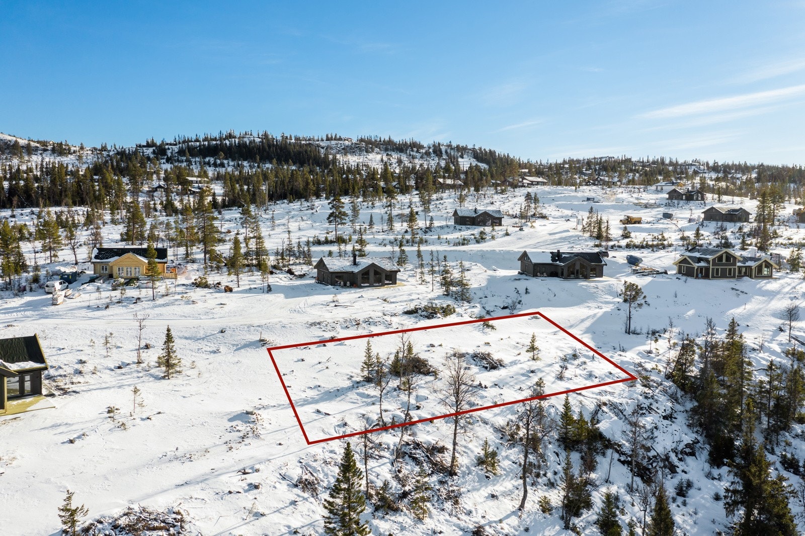 Gode solforhold Galleribilde