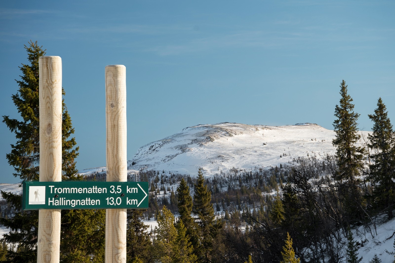 Kvasshovda og Trommenatten er populære turmål og passer både for store og små Galleribilde