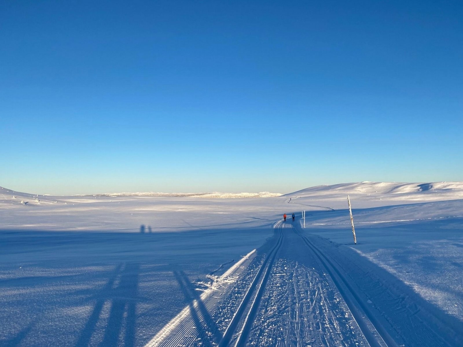 Enten på snaufjellet eller lunt i terrenger for de forblåste dagene Galleribilde