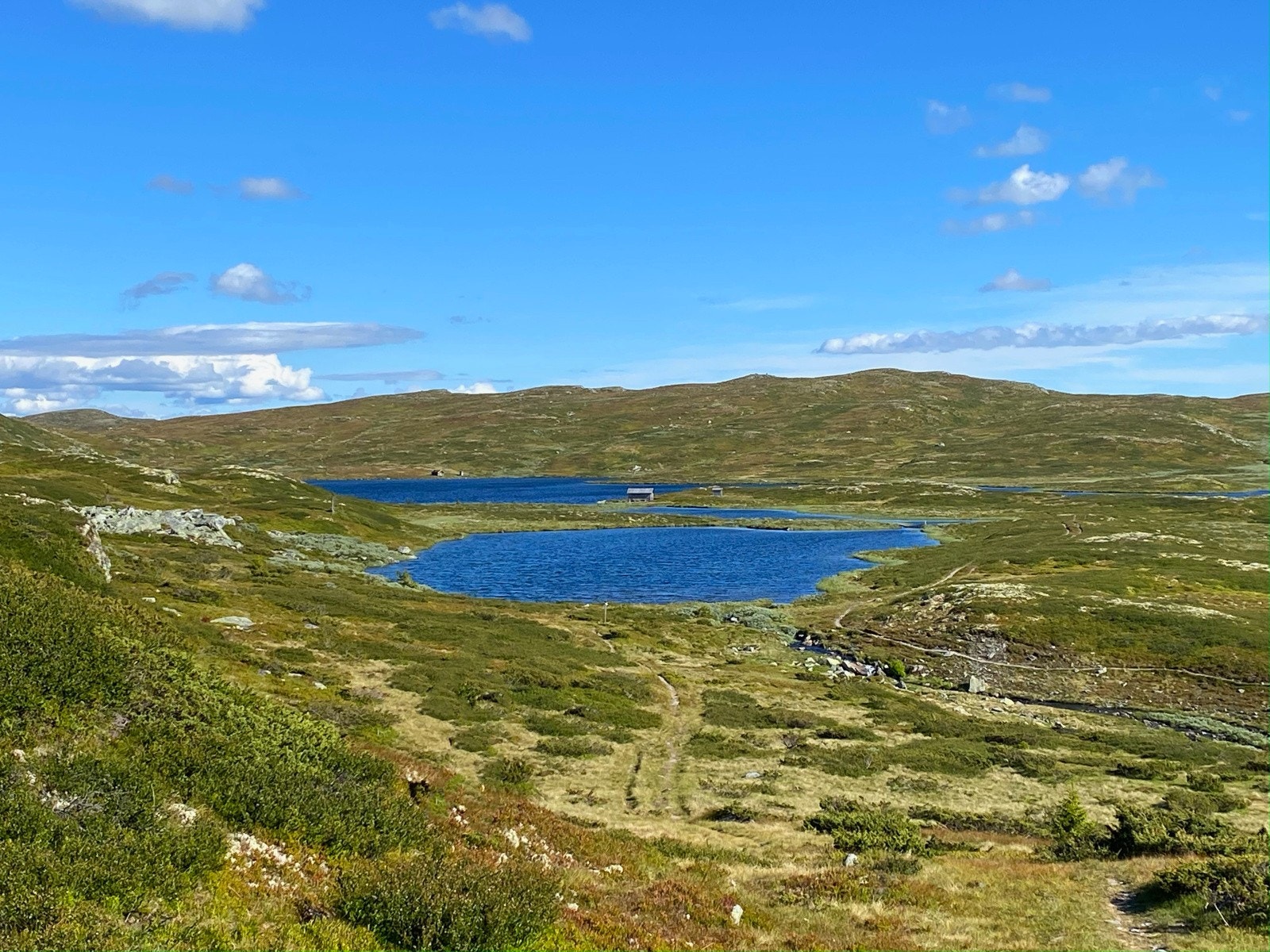 Tomten har et fantastisk turterreng utenfor døren både sommer og vinter. Galleribilde