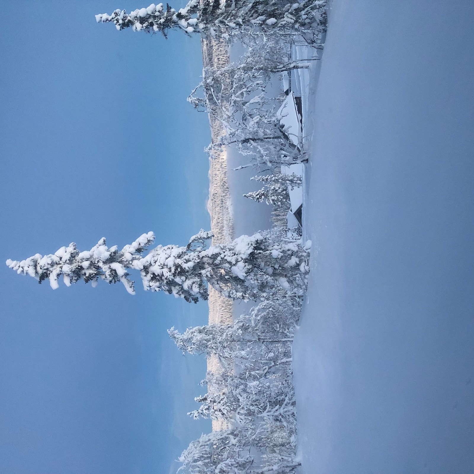 IMG_7038 vridd Galleribilde