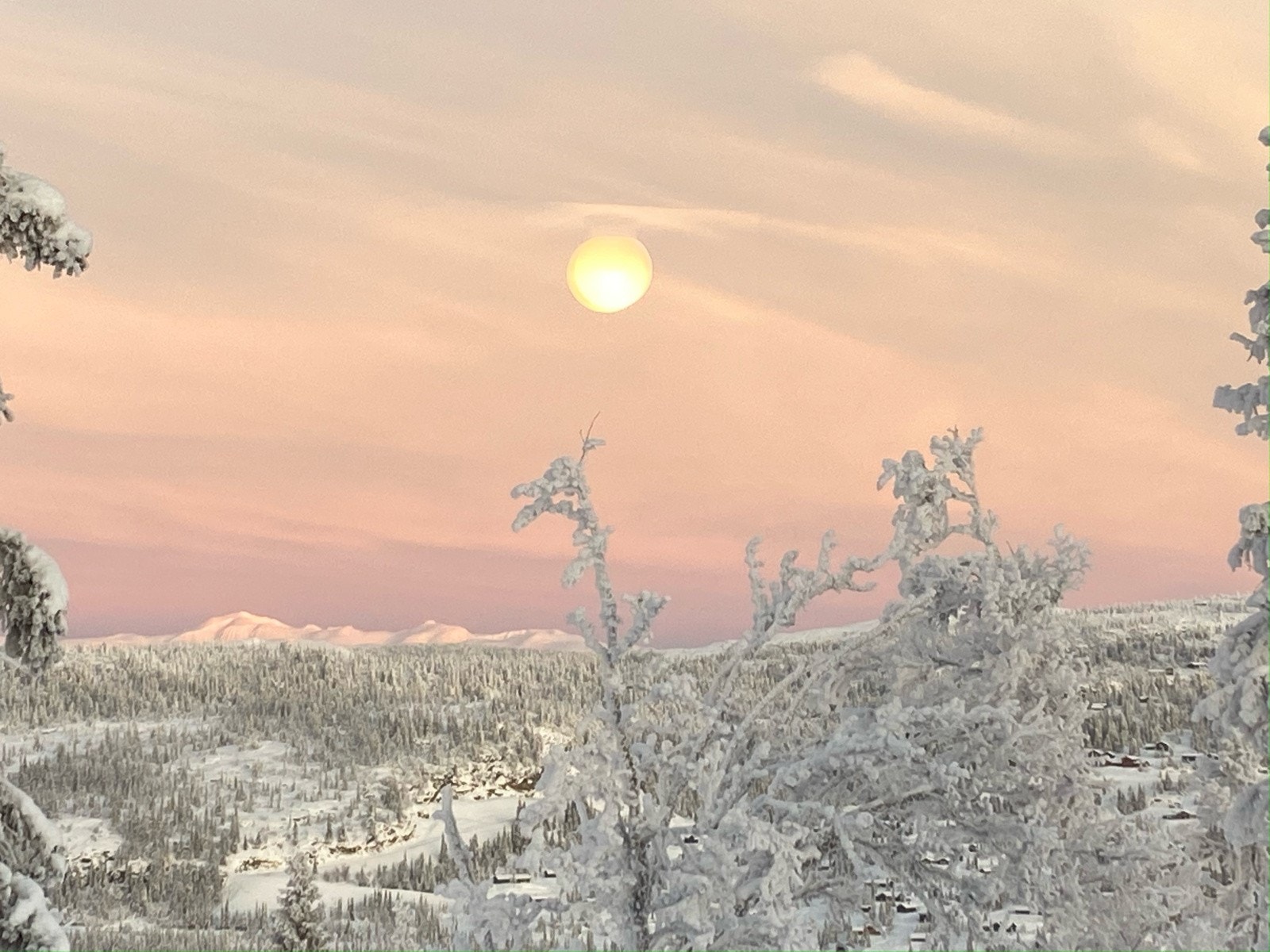 Med utsikt mot Rondeslottet. Galleribilde
