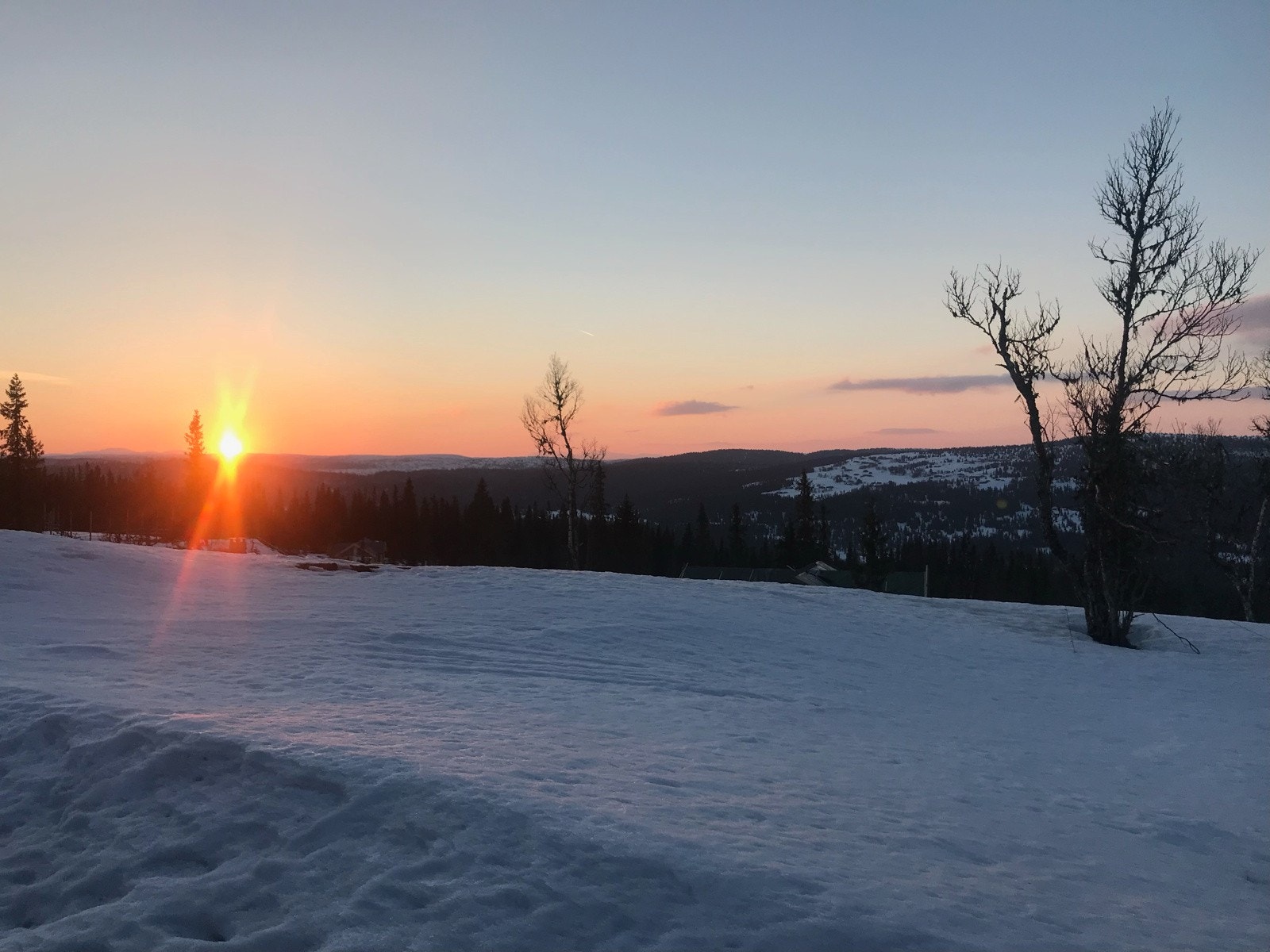 Kveldssol fra tomten. Galleribilde