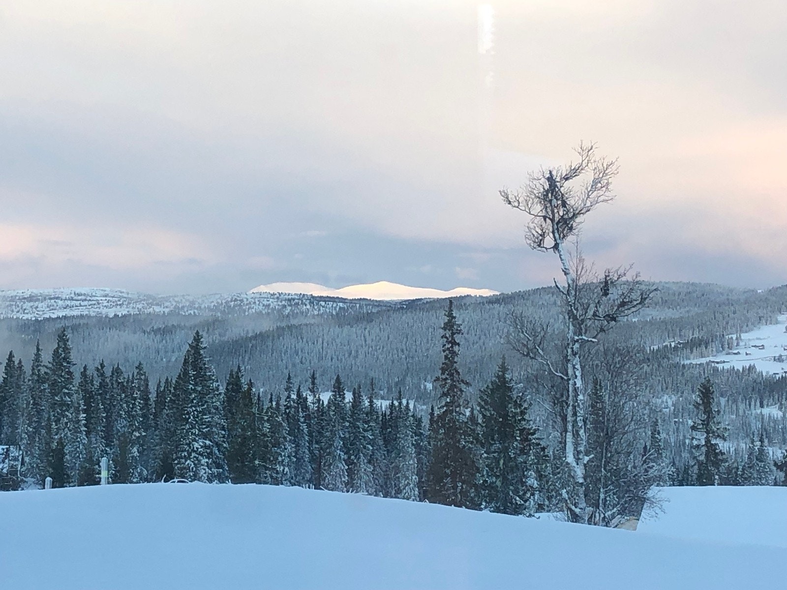 En fantastisk utsiktstomt nær toppen av Varden! Heidalsmuen skimtes i horisonten... Galleribilde
