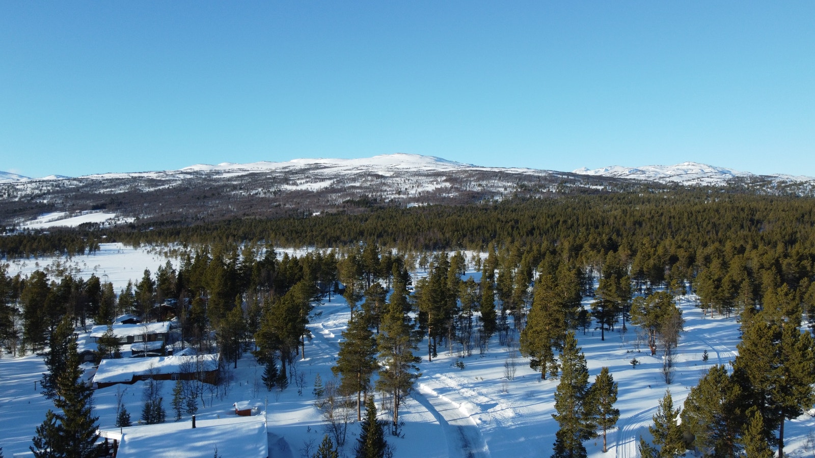Langklopp Fjellgrend - til høyre for veien er tomtene F3-F8 Galleribilde