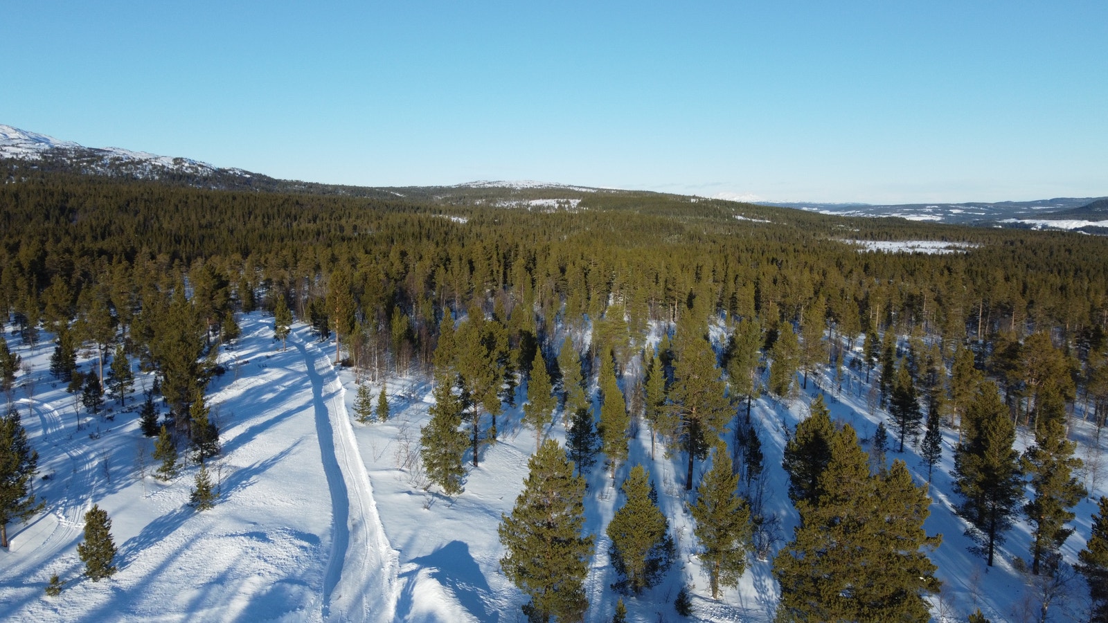 Langklopp Fjellgrend - På begge sider av veien er tomt F9-F18 Galleribilde