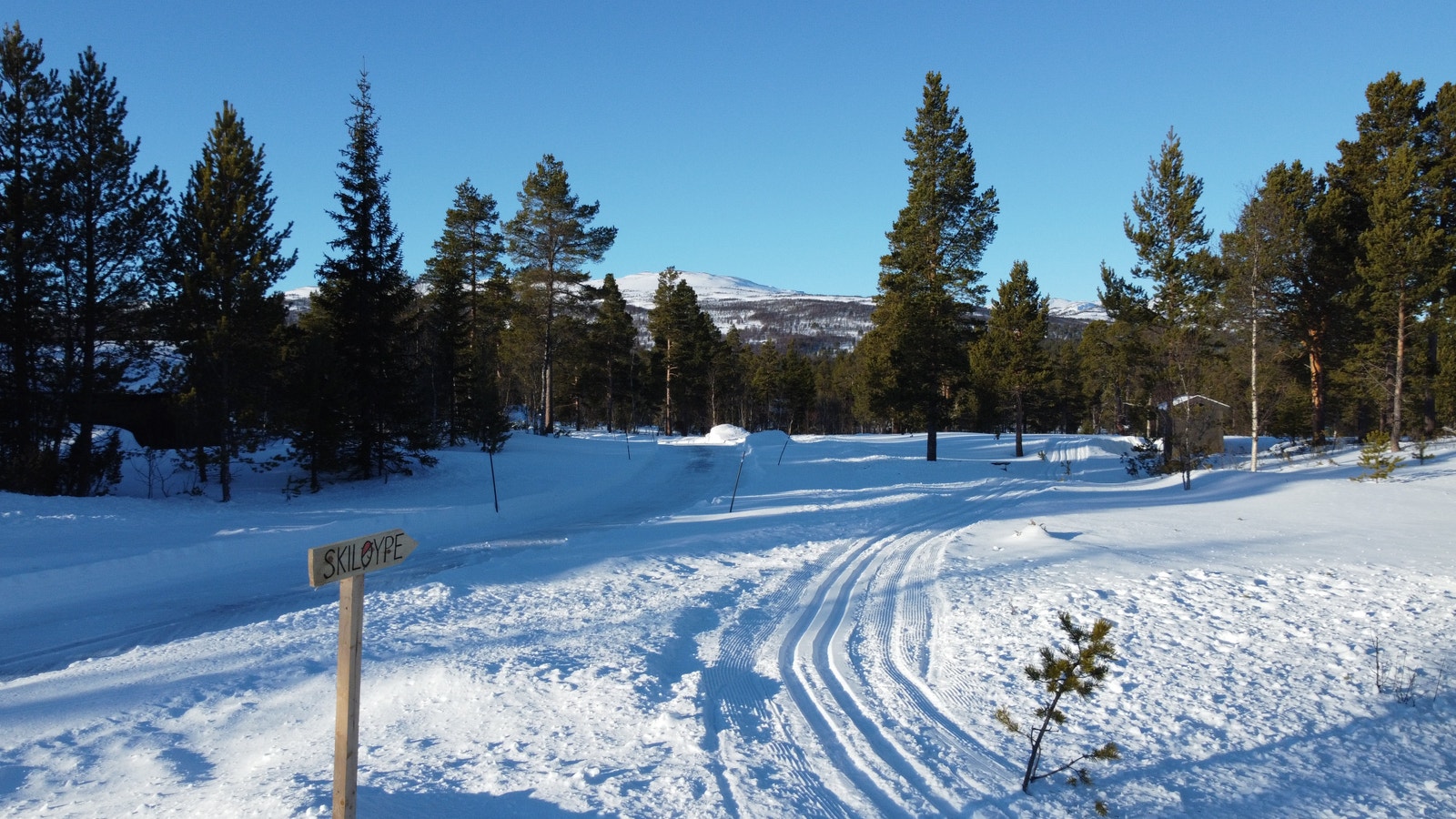 Langklopp Fjellgrend - skispor fra feltet Galleribilde