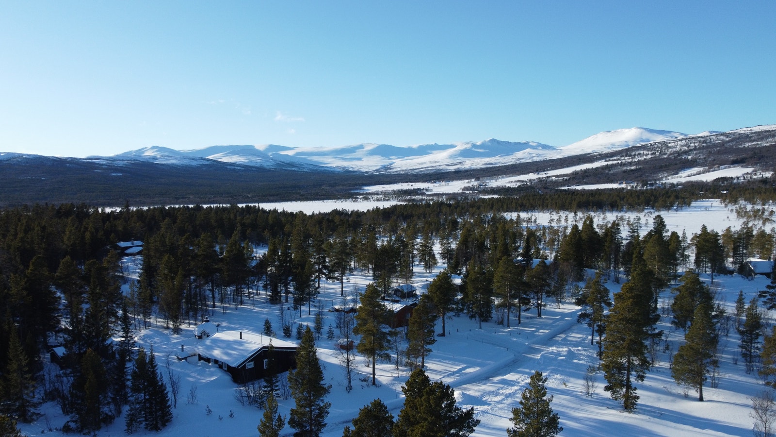 Langklopp Fjellgrend Galleribilde