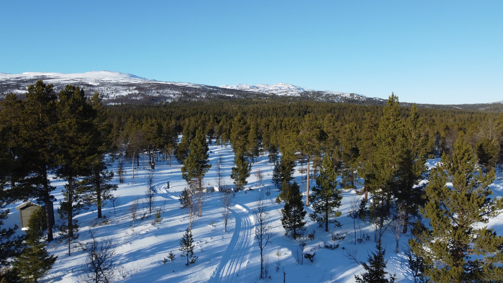 Langklopp Fjellgrend Galleribilde