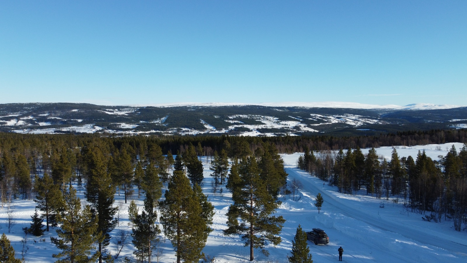 Langklopp Fjellgrend Galleribilde