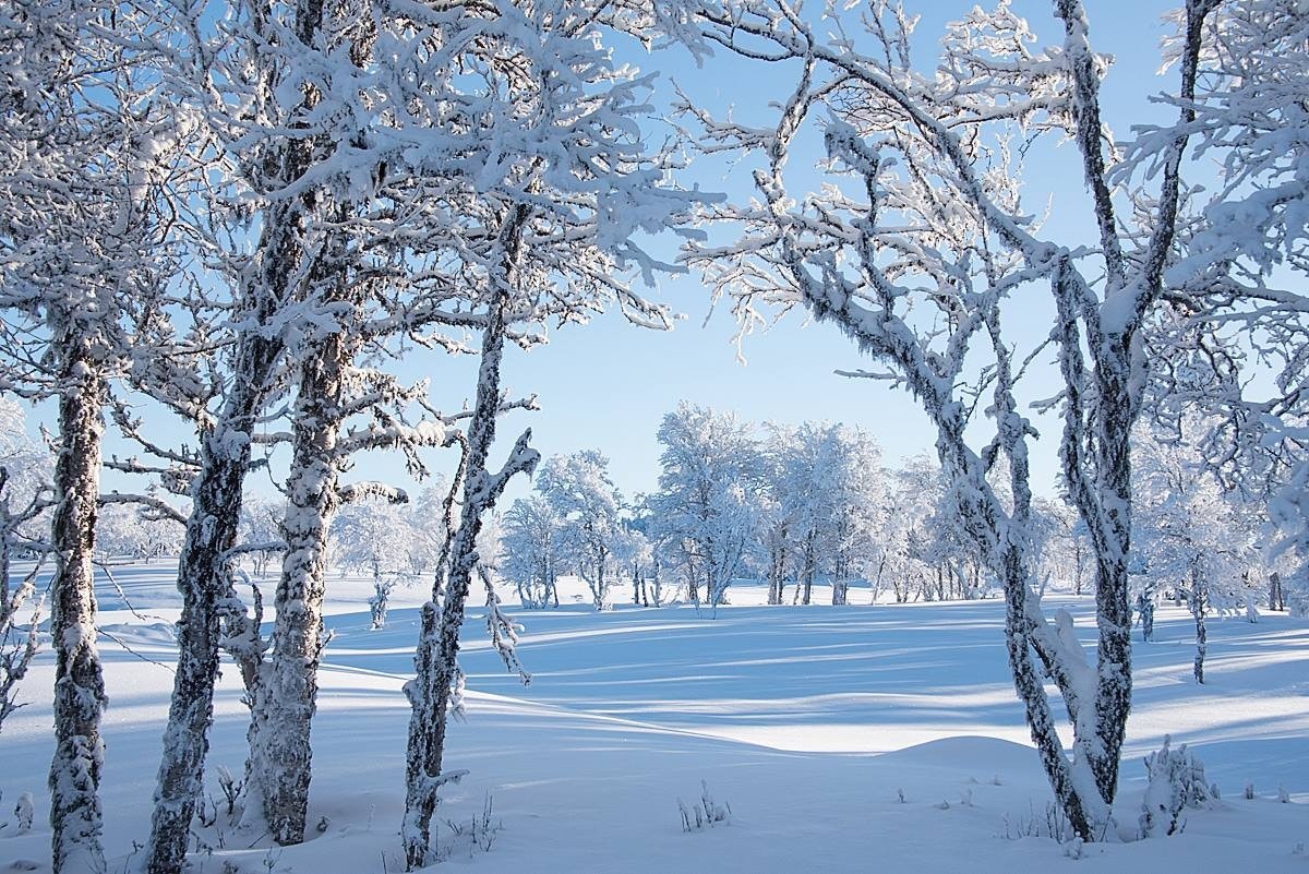 Områdetbilde Foto: Eva Larsen Galleribilde