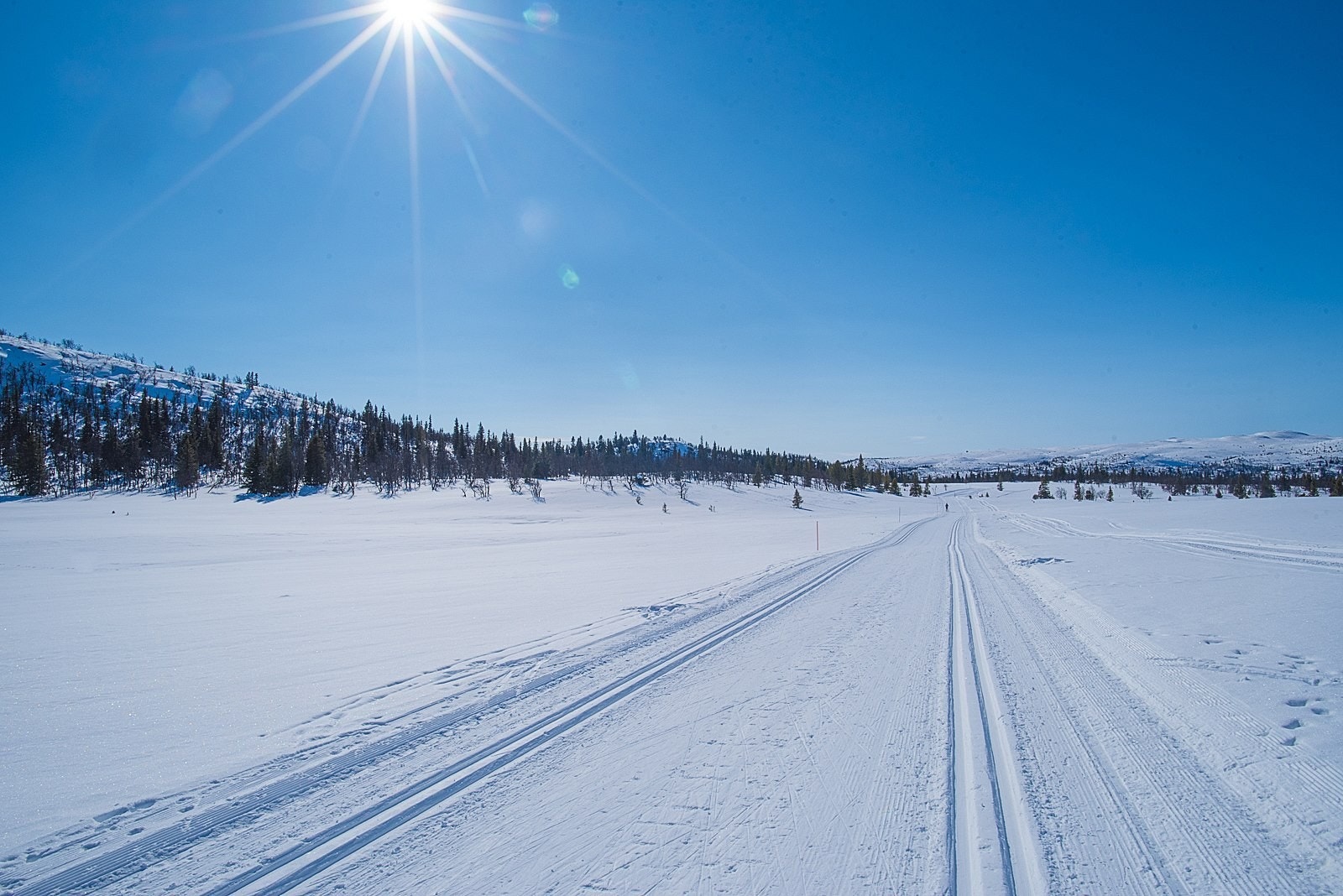 Områdetbilde Foto: Eva Larsen Galleribilde