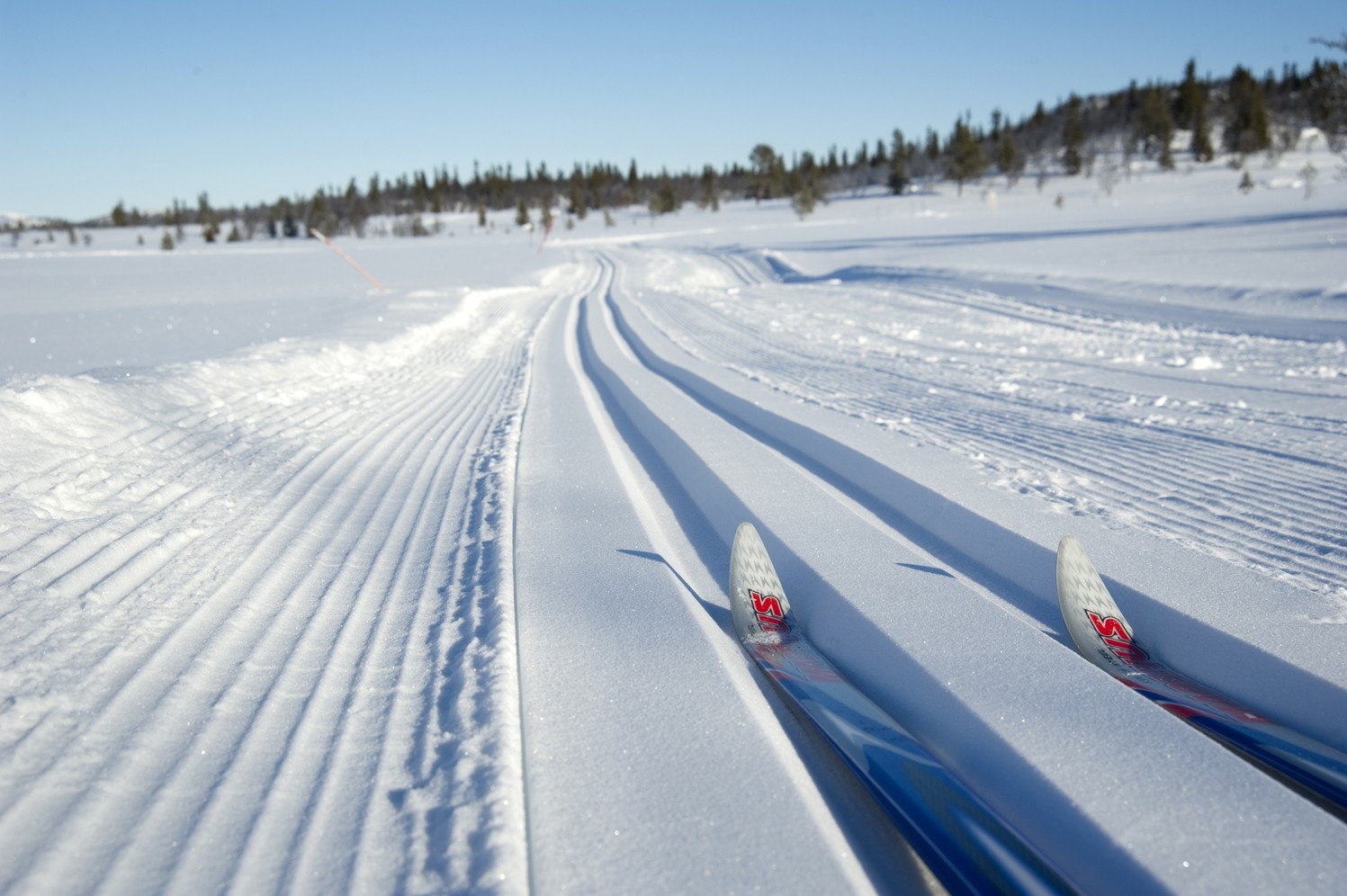 Områdetbilde Foto: Bjørnsen Galleribilde