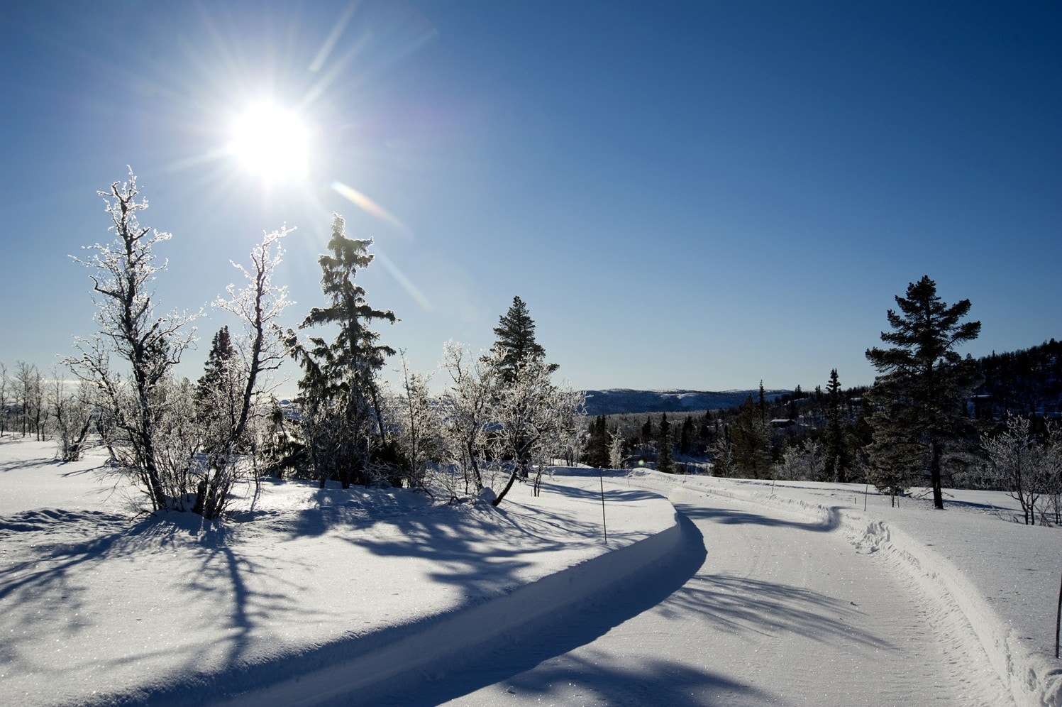 Områdetbilde Foto: Bjørnsen Galleribilde
