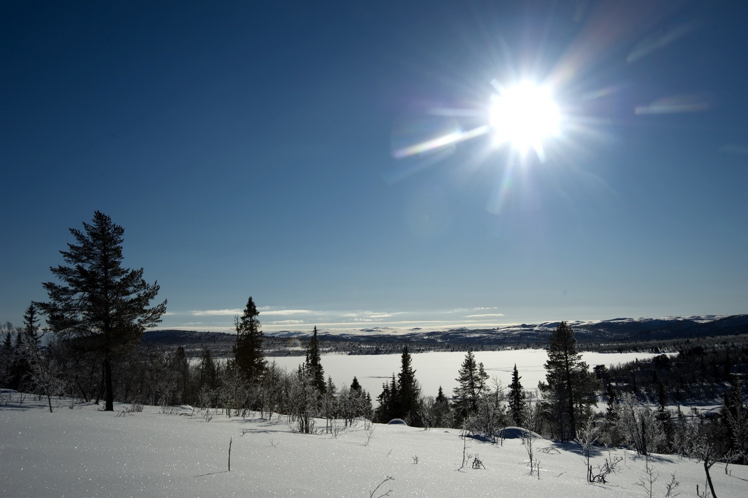 Områdetbilde Foto: Bjørnsen Galleribilde
