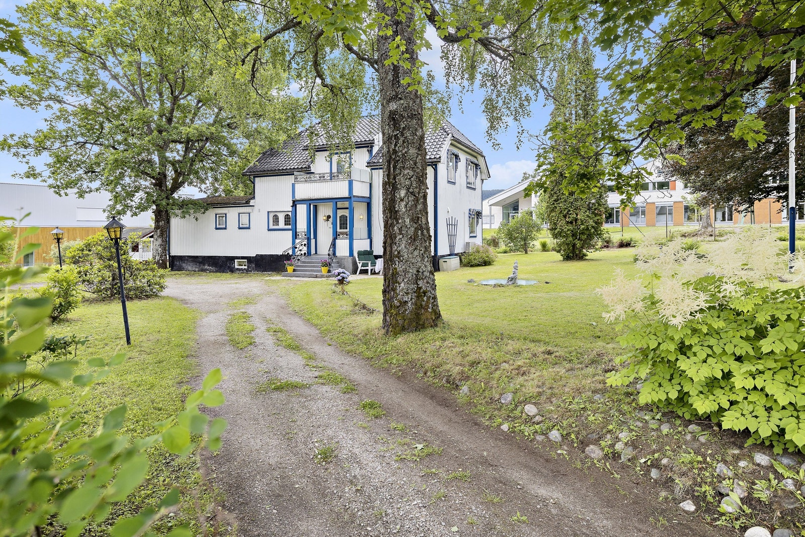 Enebolig. Galleribilde