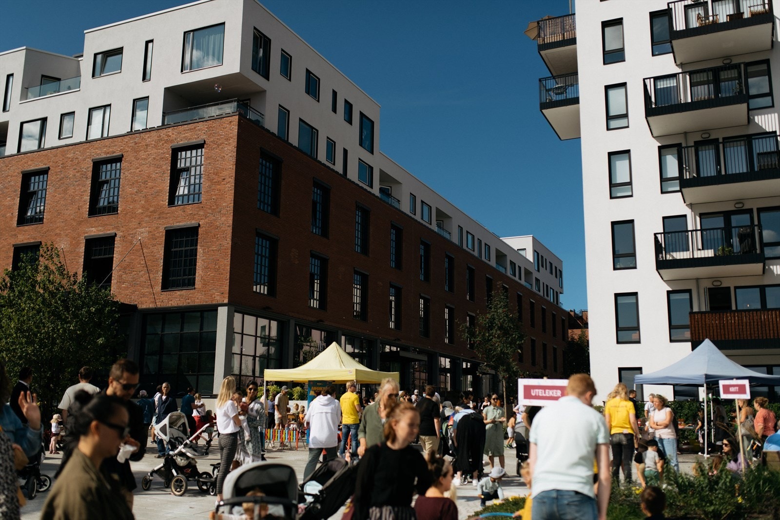 Krydderhagen og vinslottet på sommerstid Galleribilde