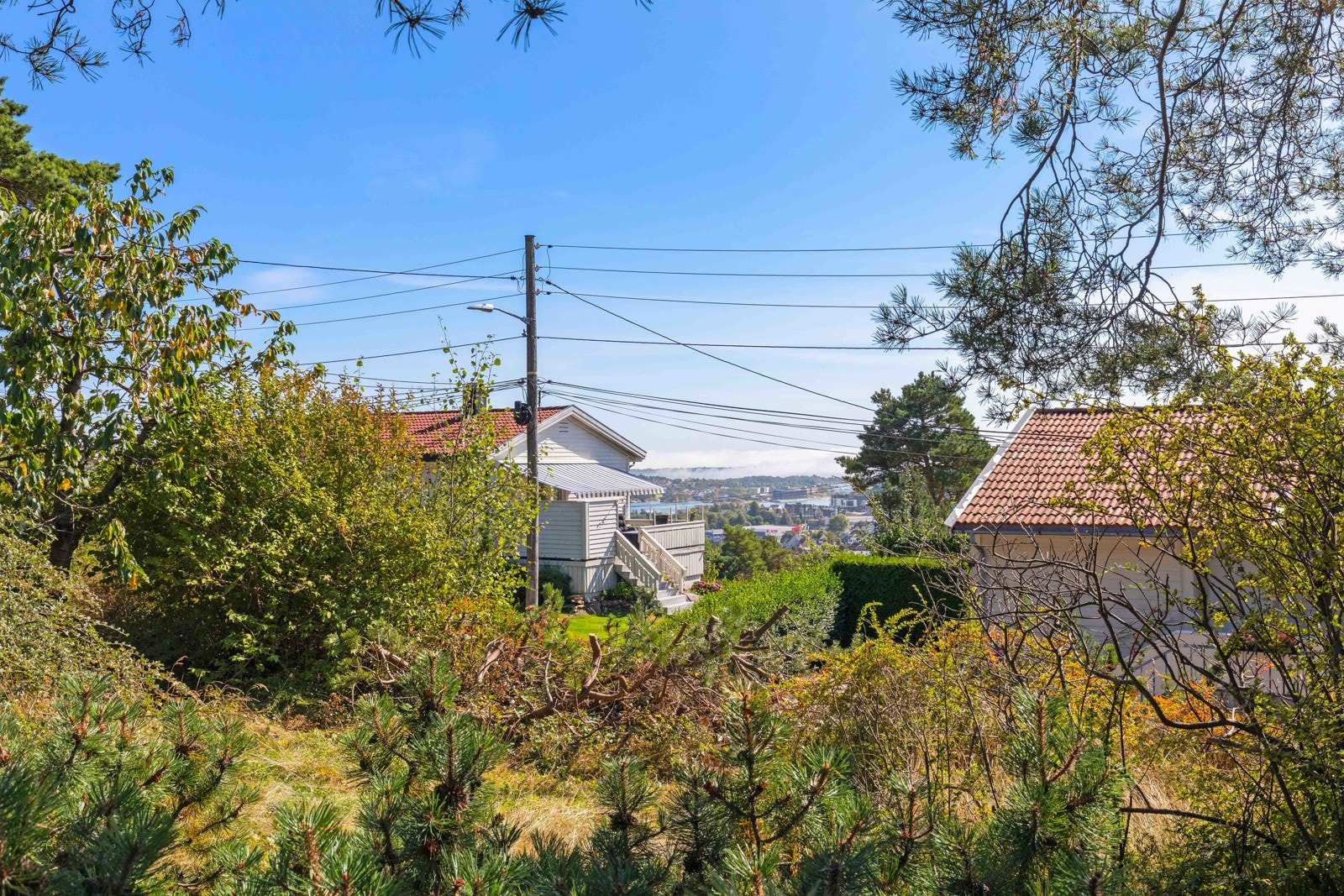 Utsikt fra tomten Galleribilde