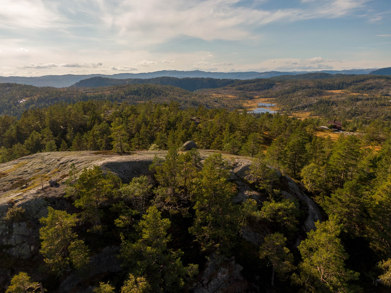 Utsikt vestover Galleribilde