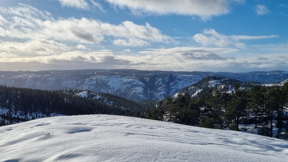 Fantastisk utsikt og naturområde Galleribilde