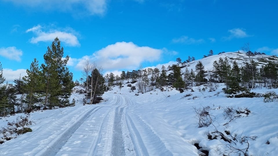Helårsvei til alle hyttetomter Galleribilde