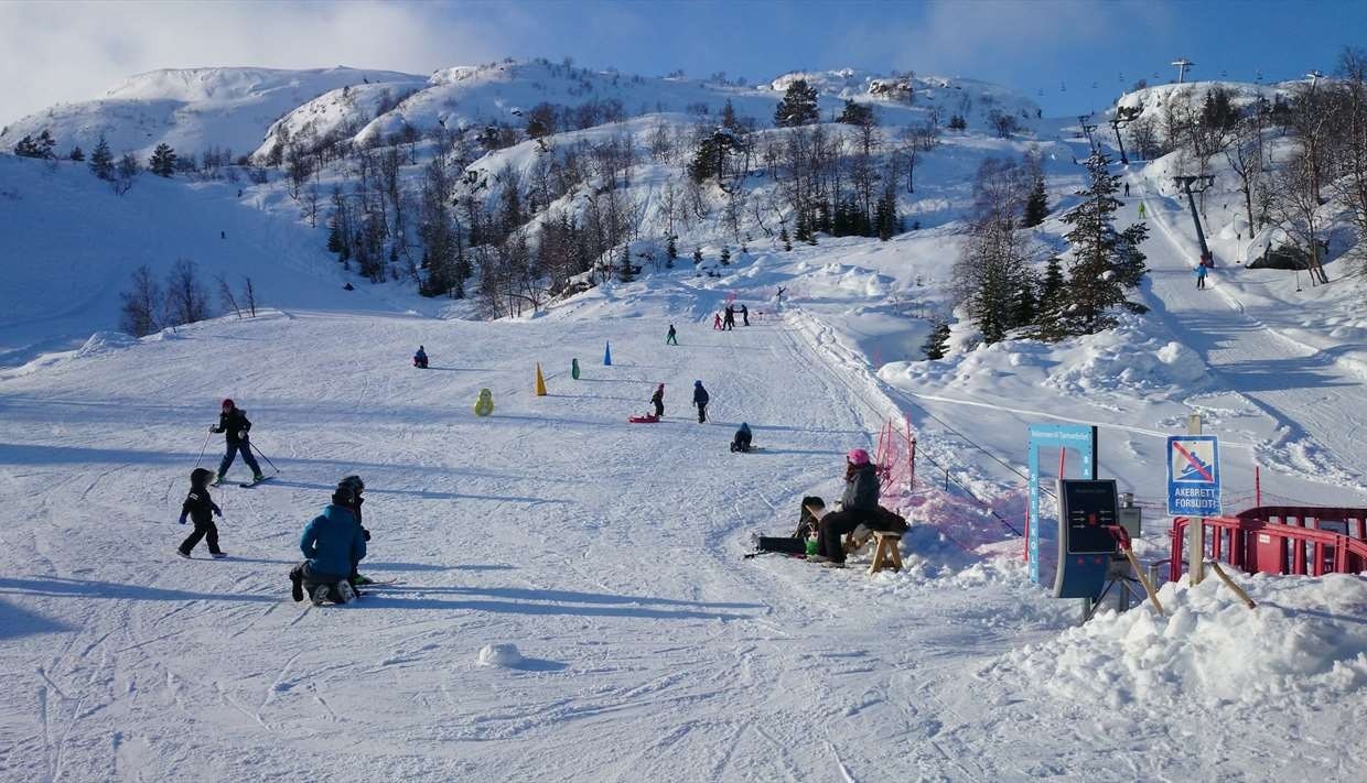 Barnetrekk i Tjøthomfjellet Galleribilde