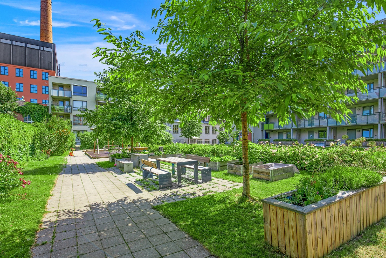 Bakgård sommerstid. Galleribilde