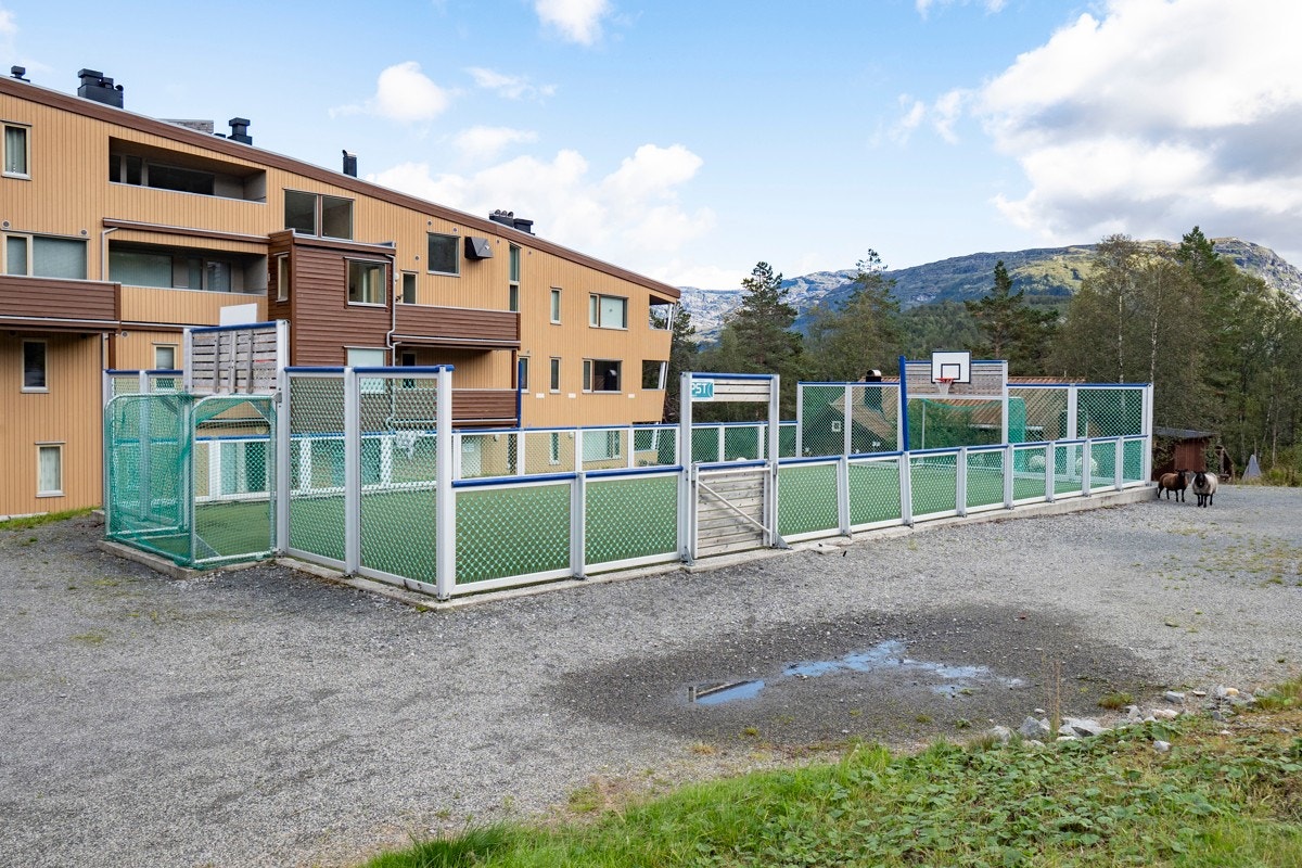 Ballbinge om sommeren, skøytebane om vinteren Galleribilde