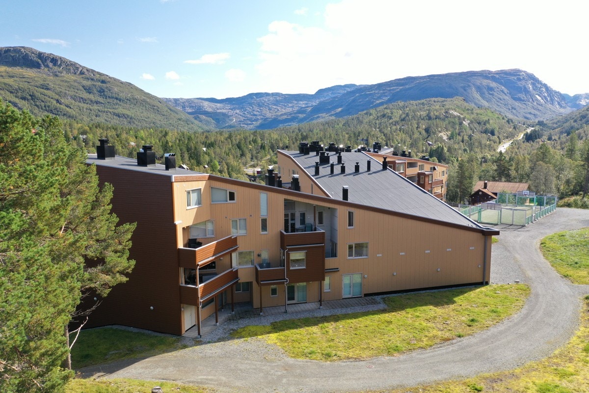 Seljestad og Røldal er viden kjent for å ha snørike vintre. I snitt kommer det ca. 12 meter snø i løpet av året. Galleribilde