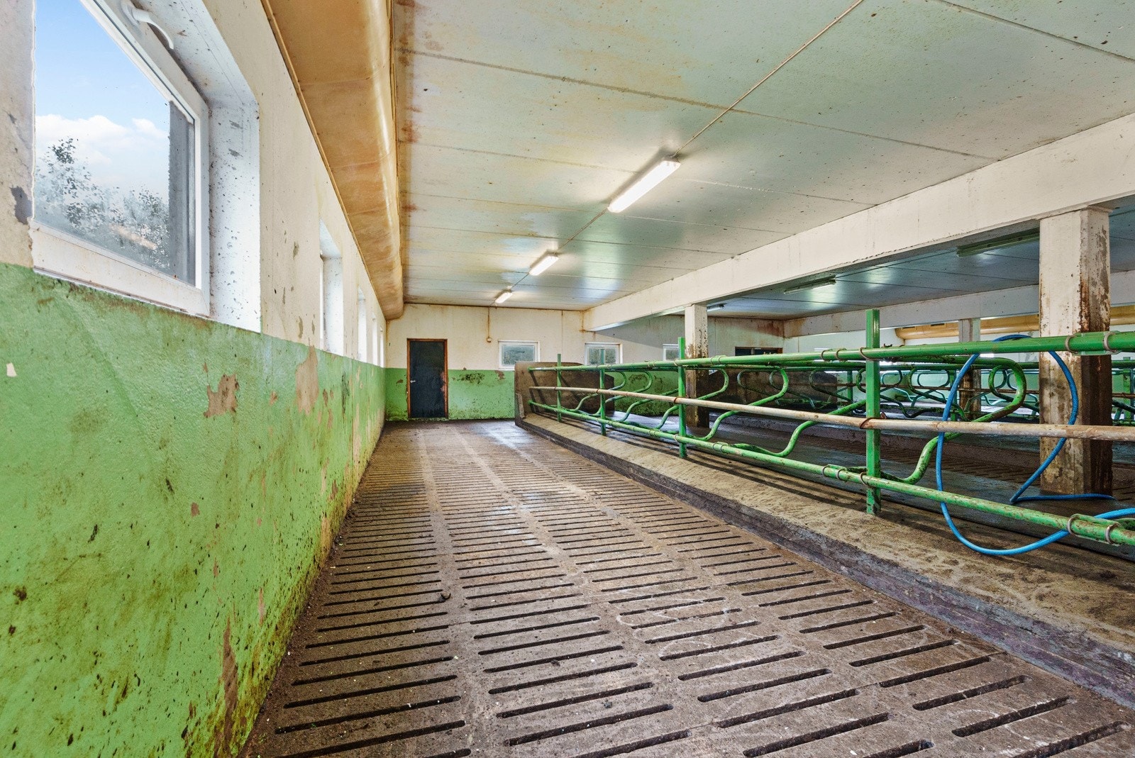 Driftsbygning - Fjøsrom Galleribilde