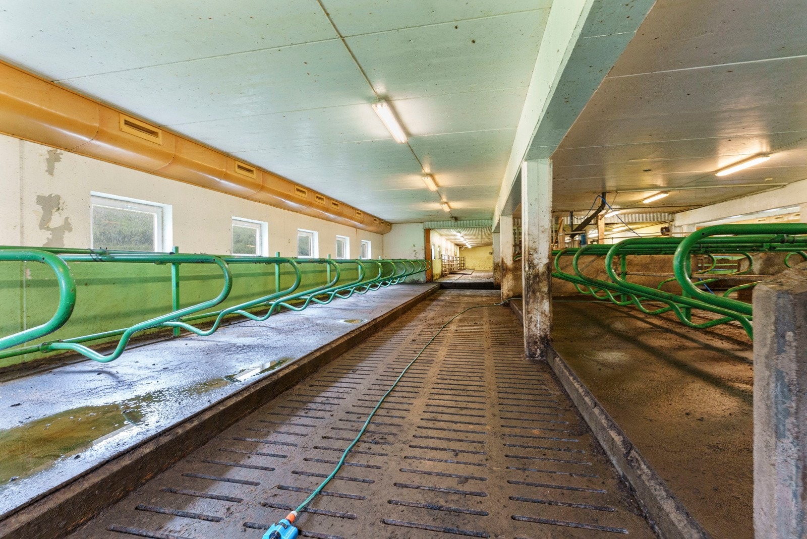 Driftsbygning - Fjøsrom Galleribilde