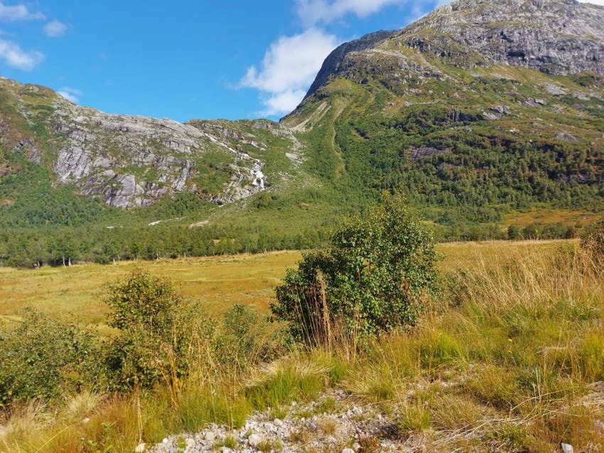 Beiteområder ved stølshuset Galleribilde